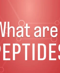 WHAT ARE PEPTIDES